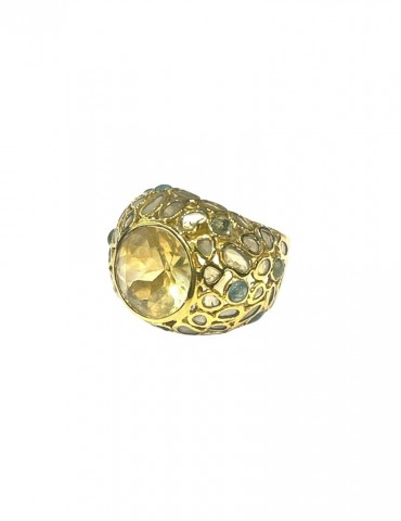 Immortelle dentelle, chevalière Charles
